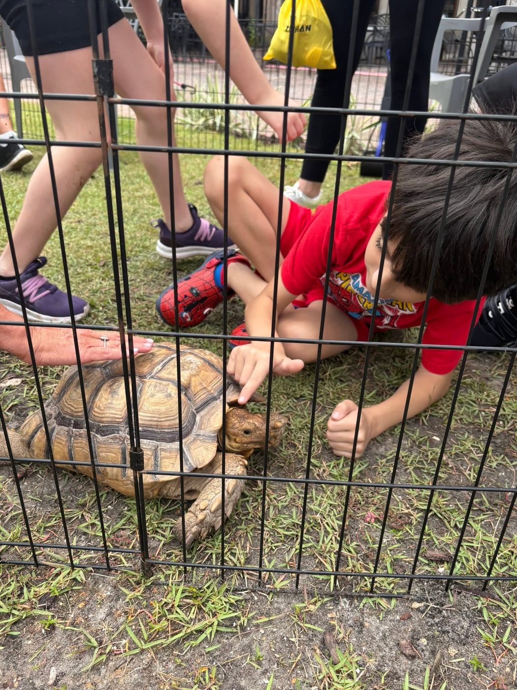 Seasonal Enrichment Camps at Vincent's Clubhouse